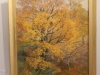 dscn3484