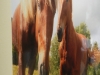 dscn3186