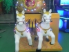 dscn6254