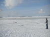 dscn3303