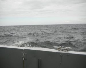 DSCN4518 DSCN4518